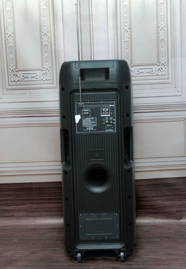 Public Address Speaker Cameroon