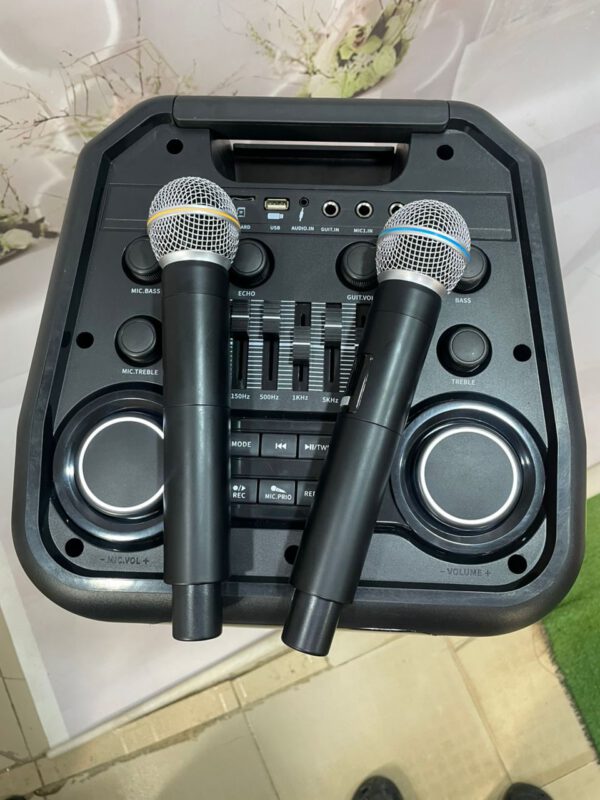Public Address Speaker Cameroon