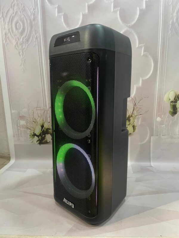 Public Address Speaker Cameroon