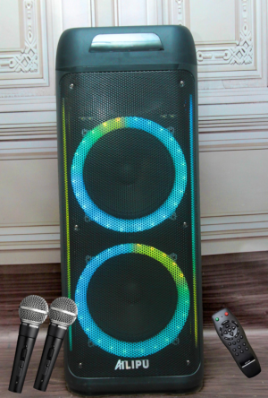 Alipu Public Address Speaker